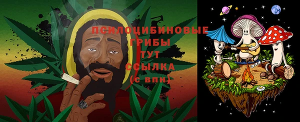 винт Бронницы