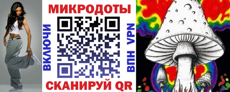 Псилоцибиновые грибы мухоморы  Купить закладки  Камышин 